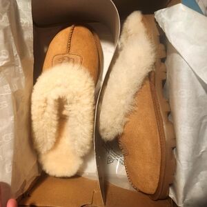 NIB Uggs